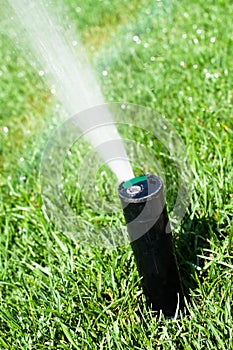 Sprinkler grass automatic watering