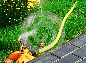 Sprinkler head of automatic watering the bush, grass and lawn. Spraying water over green grass. Irrigation system