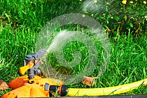 Sprinkler head of automatic watering the bush, grass and lawn. Spraying water over green grass. Irrigation system