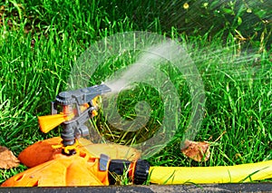 Sprinkler head of automatic watering the bush, grass and lawn. Spraying water over green grass. Irrigation system