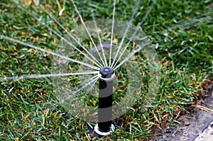 Sprinkler head spraying water on green lawn