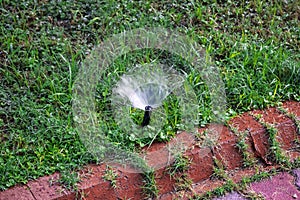 The sprinkler head sticks out of the ground and sprays water, close-up. Watering system for irrigation grass on a lawn, garden or