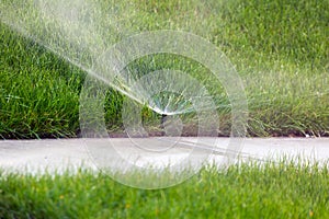 Sprinkler Head Watering Grass Lawn Closeup