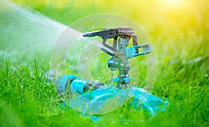 Sprinkler head watering green grass lawn. Gardening concept. Smart garden activated with automatic sprinkler irrigation system