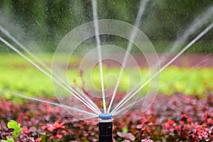 Sprinkler irrigation