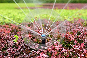 Sprinkler irrigation