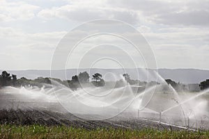 Sprinkler irrigation system photo