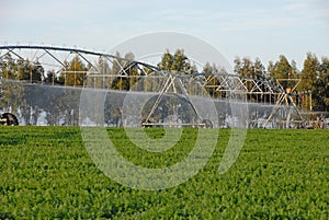 Sprinkler irrigation for watering cultivated field