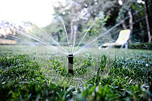 Sprinkler Spraying Water in Backyard
