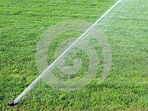 Spruzzatore spray Acqua sul erba 