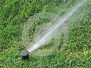 Sprinkler spraying water on grass