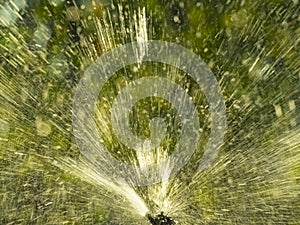 Sprinkler spraying water on green garden