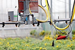 Sprinkler system inside a greenhouse