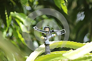 Sprinkler system, irrigation system in cultivation