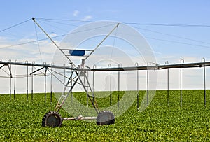 Sprinkler system to irrigate the cornfield