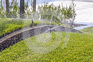 Sprinkler system, watering park lawn