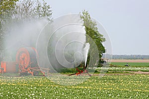 Sprinkler in the tulip fields, agriculture in the Noordoostpolder, Netherlands