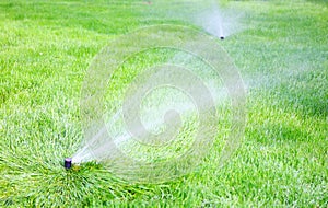 Sprinkler water on the grass