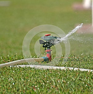 Sprinkler watering