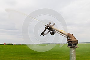 Sprinkler watering agricultural field in the sun Irrigation plant in agriculture under bright sunlight . Agriculture watering