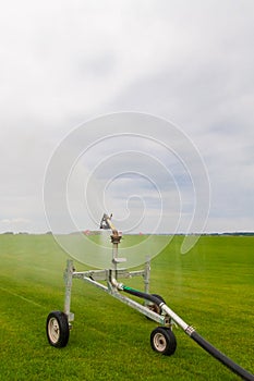 Sprinkler watering agricultural field in the sun Irrigation plant in agriculture under bright sunlight . Agriculture watering