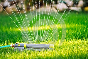 Sprinkler working on grass irrigation. Multiple sprinkler system watering the fresh lawn