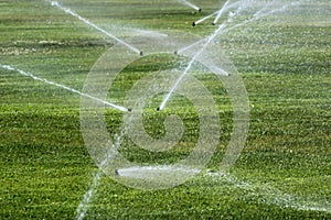 Sprinklers on a green lawn