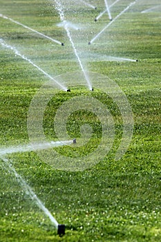 Sprinklers on a green lawn