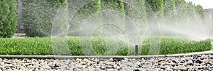 Sprinklers watering grass, green lawn in garden