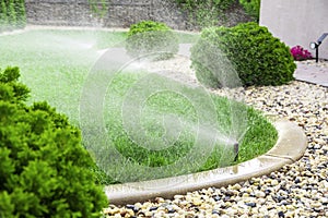 Sprinklers watering lawn in garden