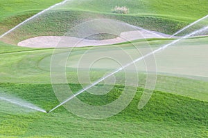 Sprinklers watering system working in green golf course.