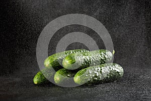 Sprinkling water over five green fresh small cucumbers gherkins on a black background with waterdrops