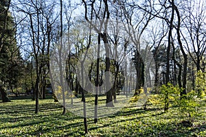 Sprintime in the Herastrau Park, Bucharest City, Romania