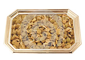 Sprots of lentil in a metal plate