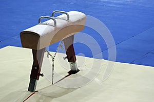 Sprots pommel. photo