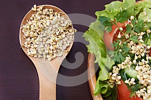 Sprouts. Buckwheat. Health. Vegetarianism. Snack. Salad photo