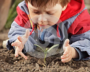 Sprout in children hand