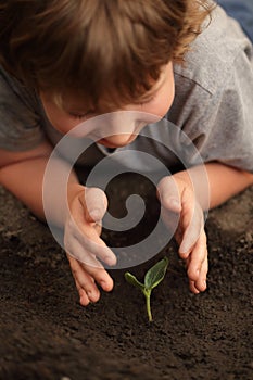 Sprout in children hand