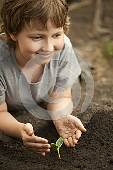 Sprout in children hand