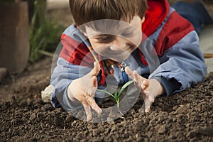 Sprout in children hand