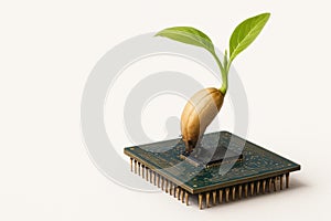 A sprout from a computer processor. Space for text.