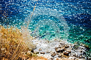 A sprout of dry grass against the background of the sparkling surface of the turquoise sea.