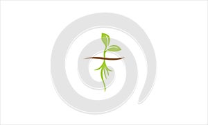 Sprout eco logo, green leaf seedling, growing plant Abstract design concept for eco technology theme. Ecology icon