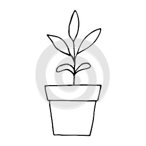 sprout in a flower pot icon, sticker. sketch hand drawn doodle style. monochrome minimalism. seedling, spring, plant