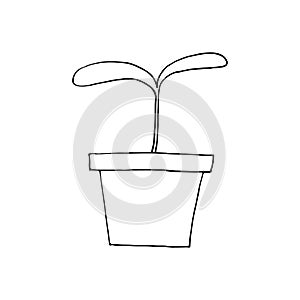 Sprout in a flower pot icon, sticker. sketch hand drawn doodle style. vector monochrome minimalism. seedling, spring, plant,