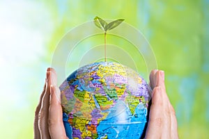 Sprout on the globe on a green background in human hands, renewing the planet, protecting the earth