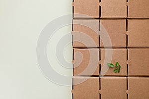 Sprout of green leaves on recycled cardboard boxes. Eco, saving energy, zero waste, plastic free and environment conservation