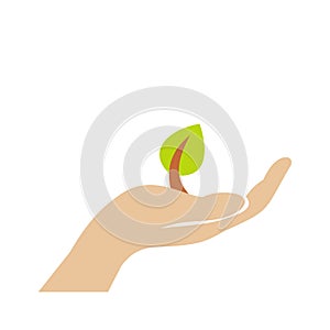 Sprout in hand flat icon