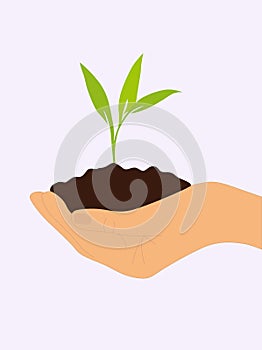 Sprout in hand. New life. Ecology. renewable energy sources. Clean energy.