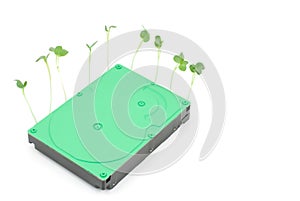 Sprout and hard disk drive